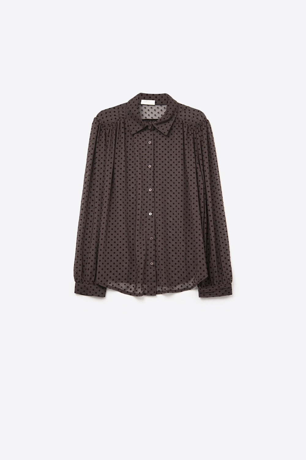 Camisa castanha com botões às pintinhas em chiffon