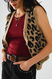 Q2 colete de malha com estampado de leopardo